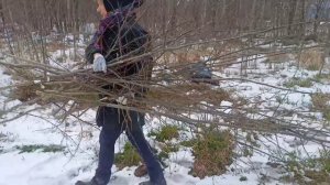 Начинаем Облагораживать Участок / Участок с нуля