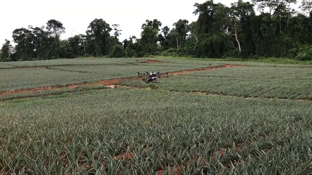 DJI Agras MG-1S Pina testing more info and sale at scorpion drones смотреть онлайн