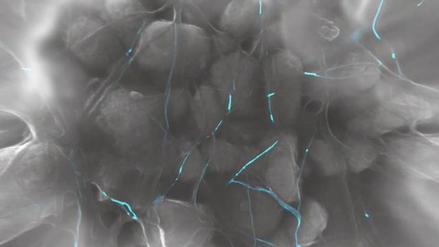 Graphene nanotubes for next-gen batteries смотреть онлайн