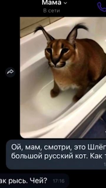 моя мама первий раз слишит што такоє шльопа смотреть онлайн