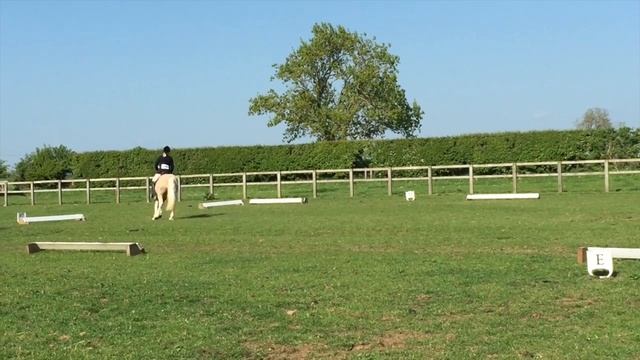 Sally Walker 14.2hh Eva смотреть онлайн