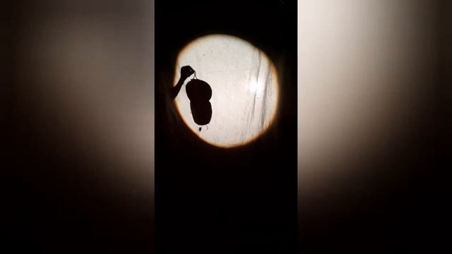 Что делать в карантин?) смотреть онлайн