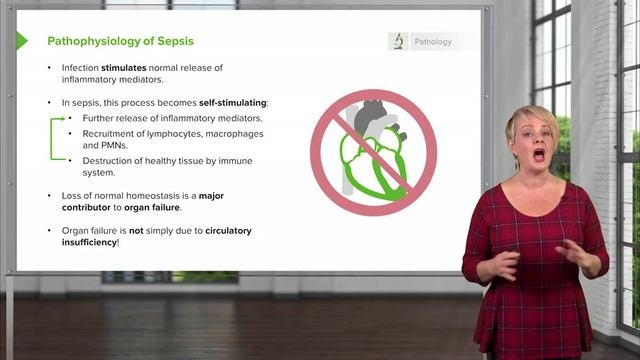3.03 Shock- Pathophysiology & Clinical Definition смотреть онлайн