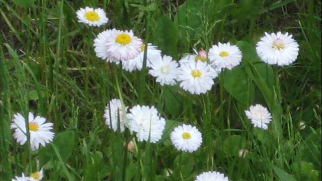 Правда смотреть онлайн