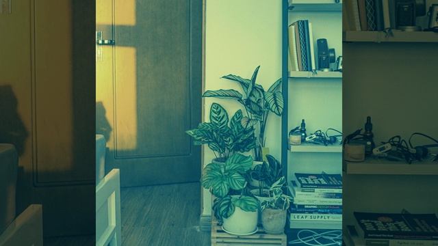 Атмосфера (Курорты) смотреть онлайн