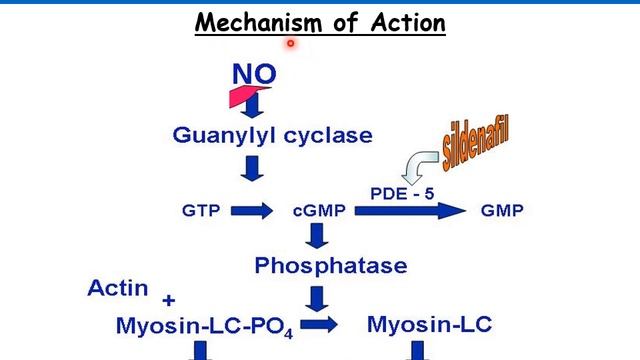 Nitric Oxide (NO) смотреть онлайн