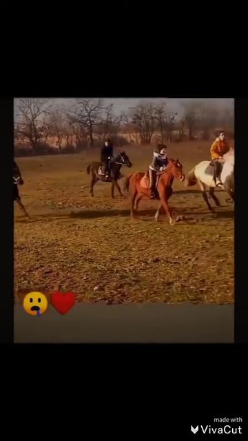 Конные скоростные испытания новой вороной лошади смотреть онлайн