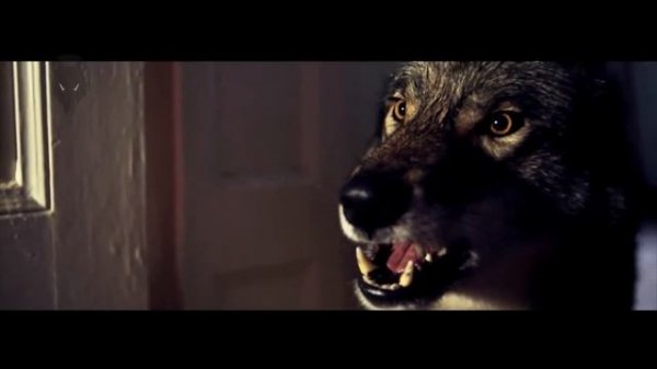 Filmtiere Woelfe | filmwoelfe.de