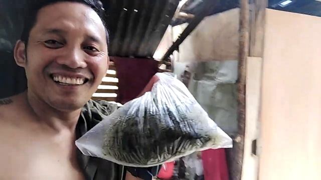 d a ra malingin sa me ron kay pabognaw daw sila dala adventure смотреть онлайн