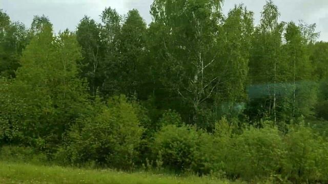 Зарисовки в блокнот/10/: поезд 59/60 Новокузнецк - Кисловодск 09.06.2022