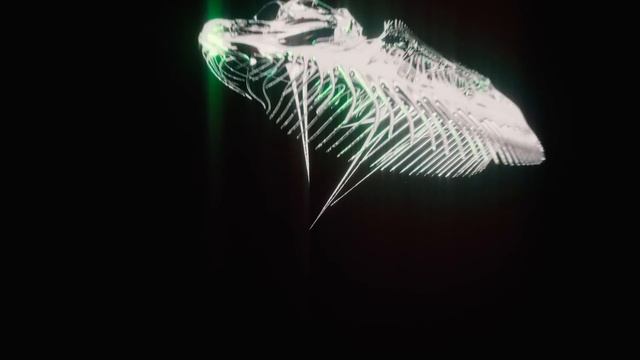 Sigur Rós - Skel (Official Video) смотреть онлайн