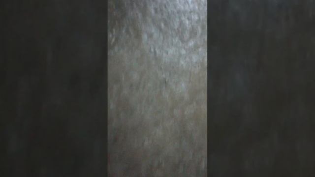 Потоп в Севастополе 07.06.19 смотреть онлайн