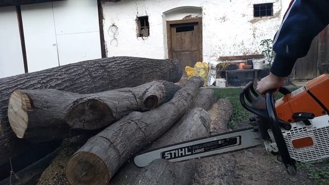 STIHL MS 460 ported with HYWAY Big bore 54mm org. 52 mm test and run-in of the saw when cutting woo смотреть онлайн