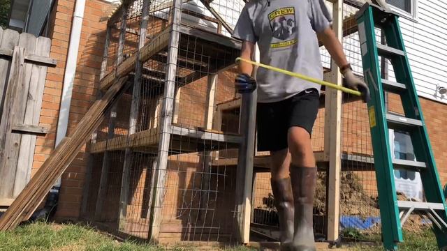 Huge Outside Iguana Cage!!! I Can Walk Inside!!! | DIY Reptiles смотреть онлайн