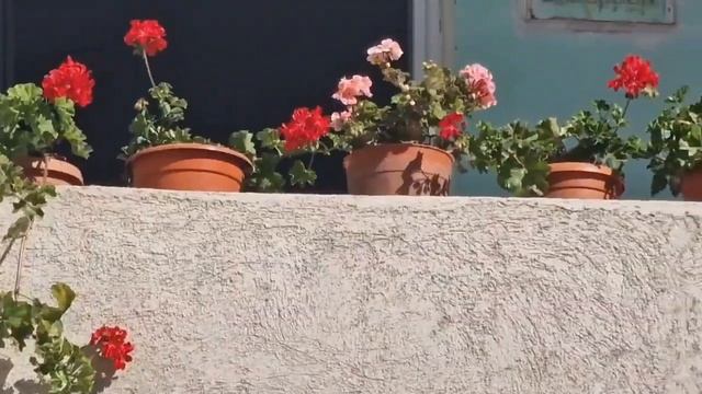 Деньги не отдам!!!