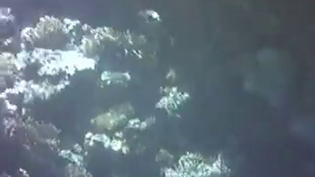 Sharm el naga vízalatt 2010,10,22 Kada-Misi смотреть онлайн