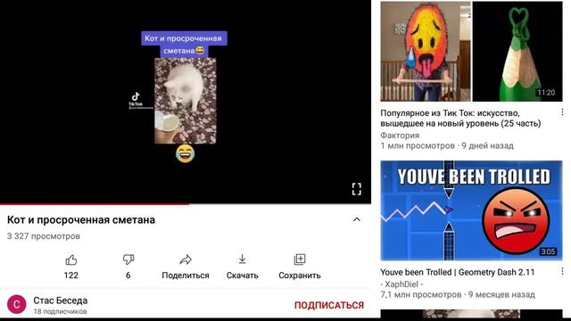 моя реакция на кота с просроченной сметаной смотреть онлайн