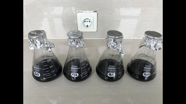 Praktikum Kimia Fisik I - Isoterm Adsorpsi смотреть онлайн