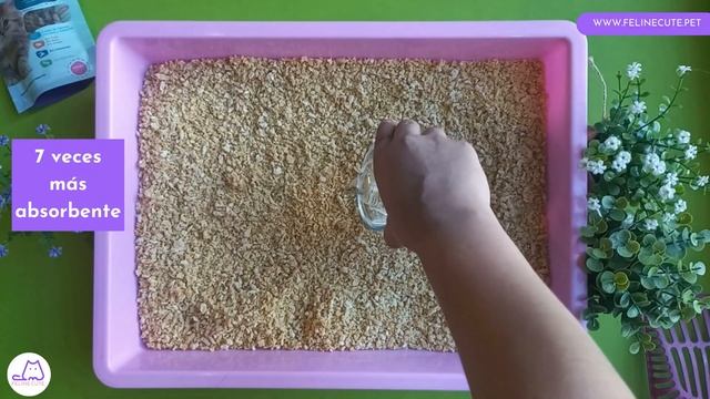 FelineCute - Grain Cat lecho sanitario para gatos elaborado con maíz смотреть онлайн