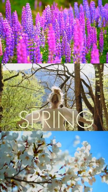 🔴▹ 🎬 SPRING 2023 • NATURE • RELAXING ENGLISH SONGS #short смотреть онлайн