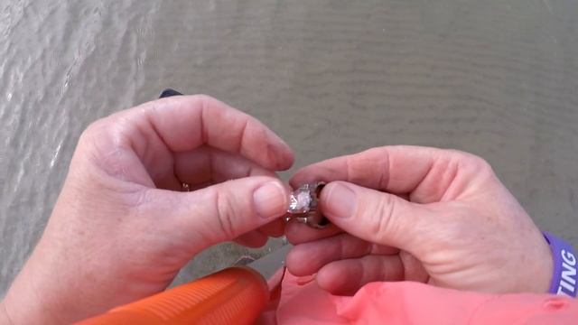 Beach METAL DETECTING: Bling, Rings, amongst other things! смотреть онлайн