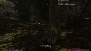 Прохождение Готика 2 Новый Баланс Разведчик + УКС + ГБ  [2]