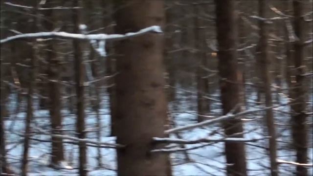 Мистическая чёрная дыра в лесу смотреть онлайн