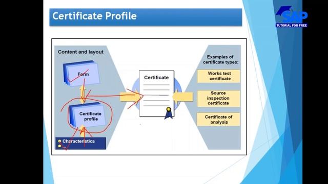 SAP Quality Management | Quality Certificates | SAP QM | SAP Tutorial For Free | SAP ERP смотреть онлайн