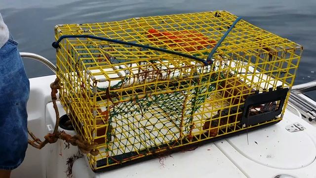 How a Lobster trap works смотреть онлайн