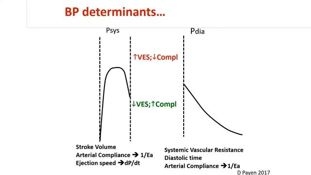 Pressure orientated or flow oriented therapy Didier Payen 2018