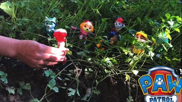 Щенячий патруль (2 серия)#щенячийпатруль #вспыш #машинки #мультик #pawpatrol  #игрушки  #blaze