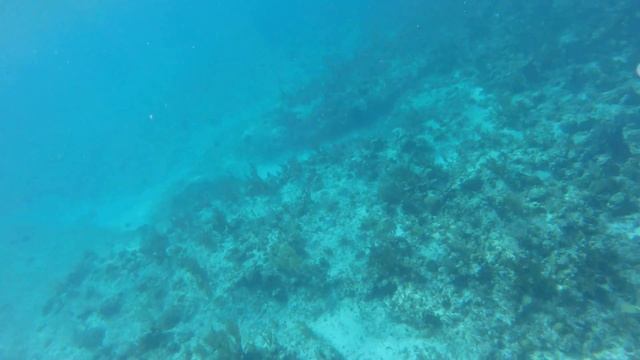 Isla de la juventud - Flipper III смотреть онлайн
