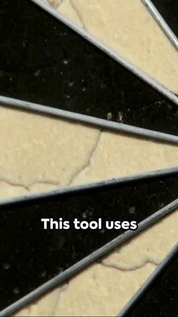 Monte Carlo: Predicting The Unpredictable