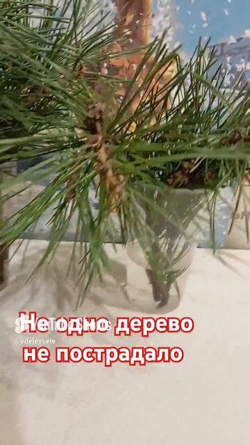 Дарите женщинам 🌸🌺🌻🌹🌷🌼💐цветы смотреть онлайн