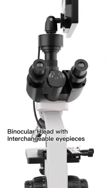 The application of Lab Trinocular Microscope in the vegetable, fruits смотреть онлайн