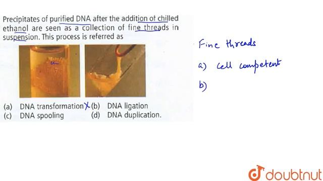 Precipitates of purified DNA after the addition of chilled ethanol are seen as a collection смотреть онлайн