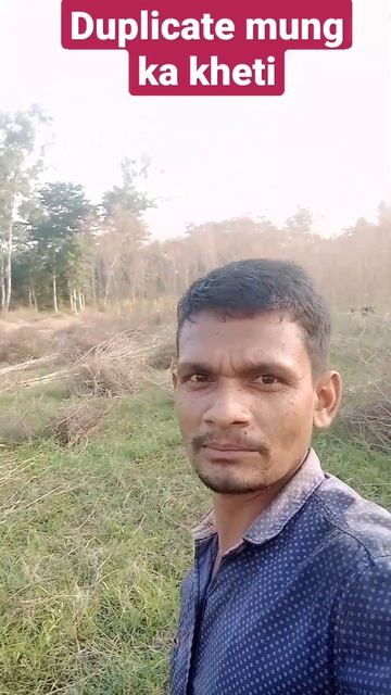 duplicate mungo ka kheti#shortvideo 😩#short video YouTube смотреть онлайн