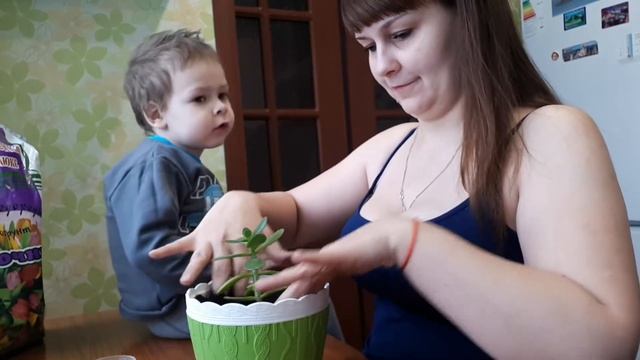 4 декабря 2019 г. смотреть онлайн