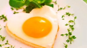 Лучшие белковые продукты. Продукты богатые белком