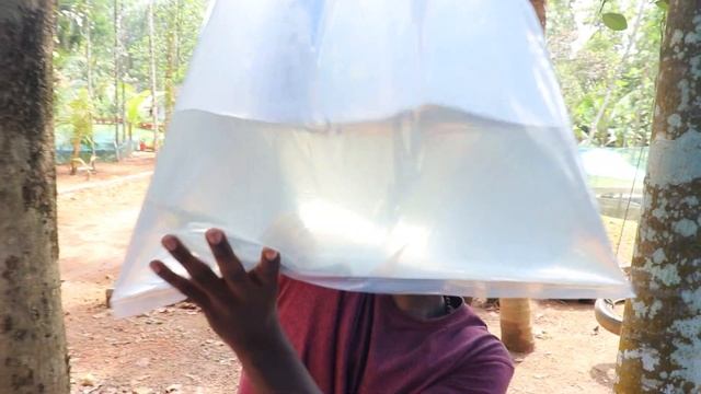 Alligator Gar ന് കൂട്ടായി Cat Fish എത്തി..‼️ രണ്ടുംകൂടി കടികൂടി..❓😱 смотреть онлайн