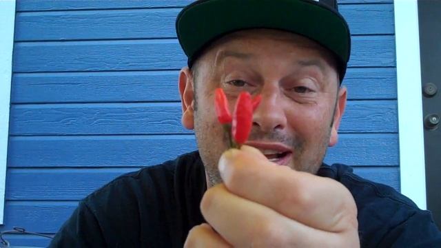 TABASCO Chile Review by Bishop Brad & Refining Fire Chiles смотреть онлайн
