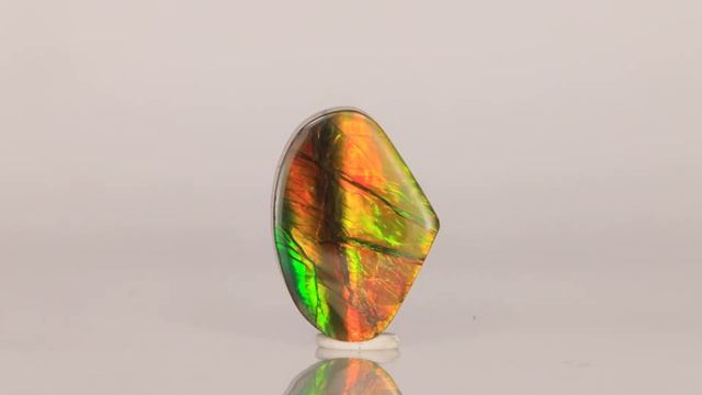 Wide Pear Shape Ammolite 7.21 Carats