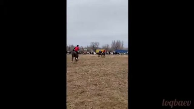 Жаркент Кішішыған ауылының кокпаршылары смотреть онлайн