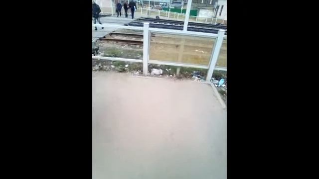 Несанкционированые мусорные свалки в Саратове