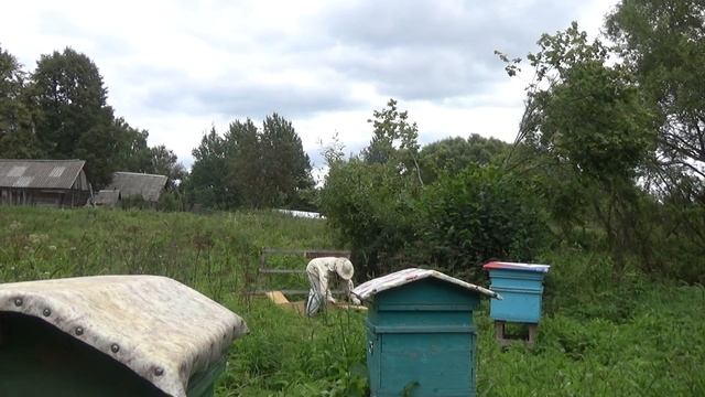 выставляю рамки на осушку, камера между ульев смотреть онлайн