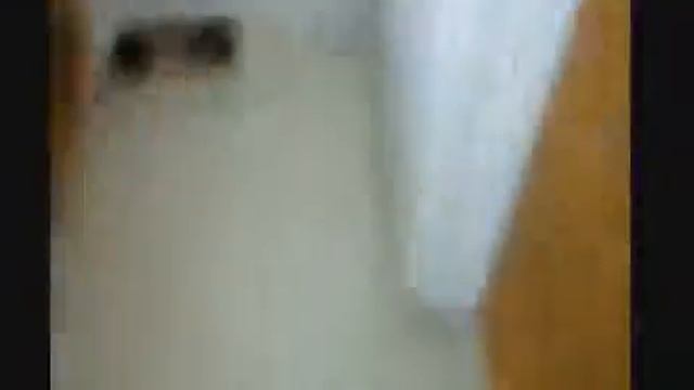 веселая_подборка_с_кошками смотреть онлайн