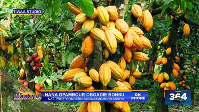 There is no regulatory body to see to our plight against gal@msey - Concerned Cocoa Farmers Assoc. смотреть онлайн