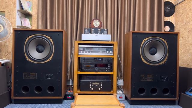 10/03/2023 TANNOY ARDEN MKii  3828