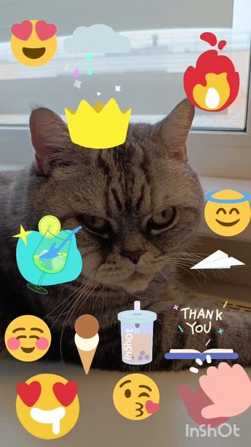 милаха правда