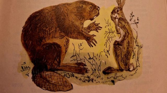 ЛЕСНЫЕ СКАЗКИ. А ЭТО МЫ! Часть 5 (Для дошкольников.) смотреть онлайн